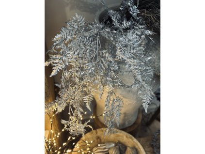 Větev kapradí - převis