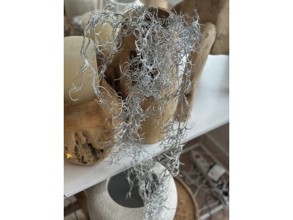 Větev tilandsie - převis