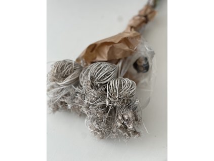 Sušina - bělené květy