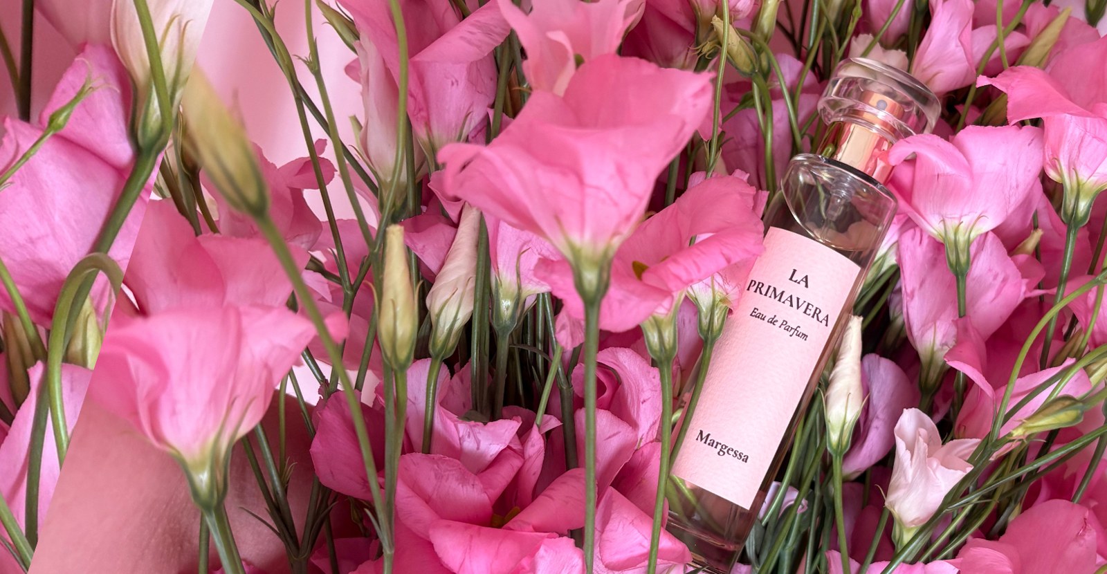 La Primavera – Symphony EdP