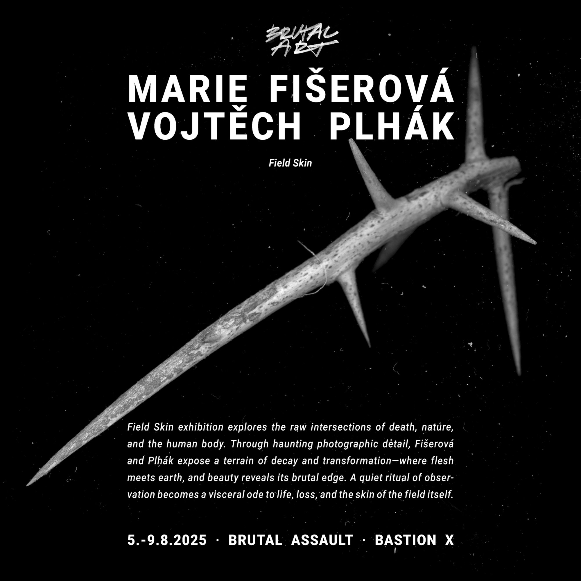 Marie Fišerová & Vojtěch Plhák exhibition at Brutal Assault 2025