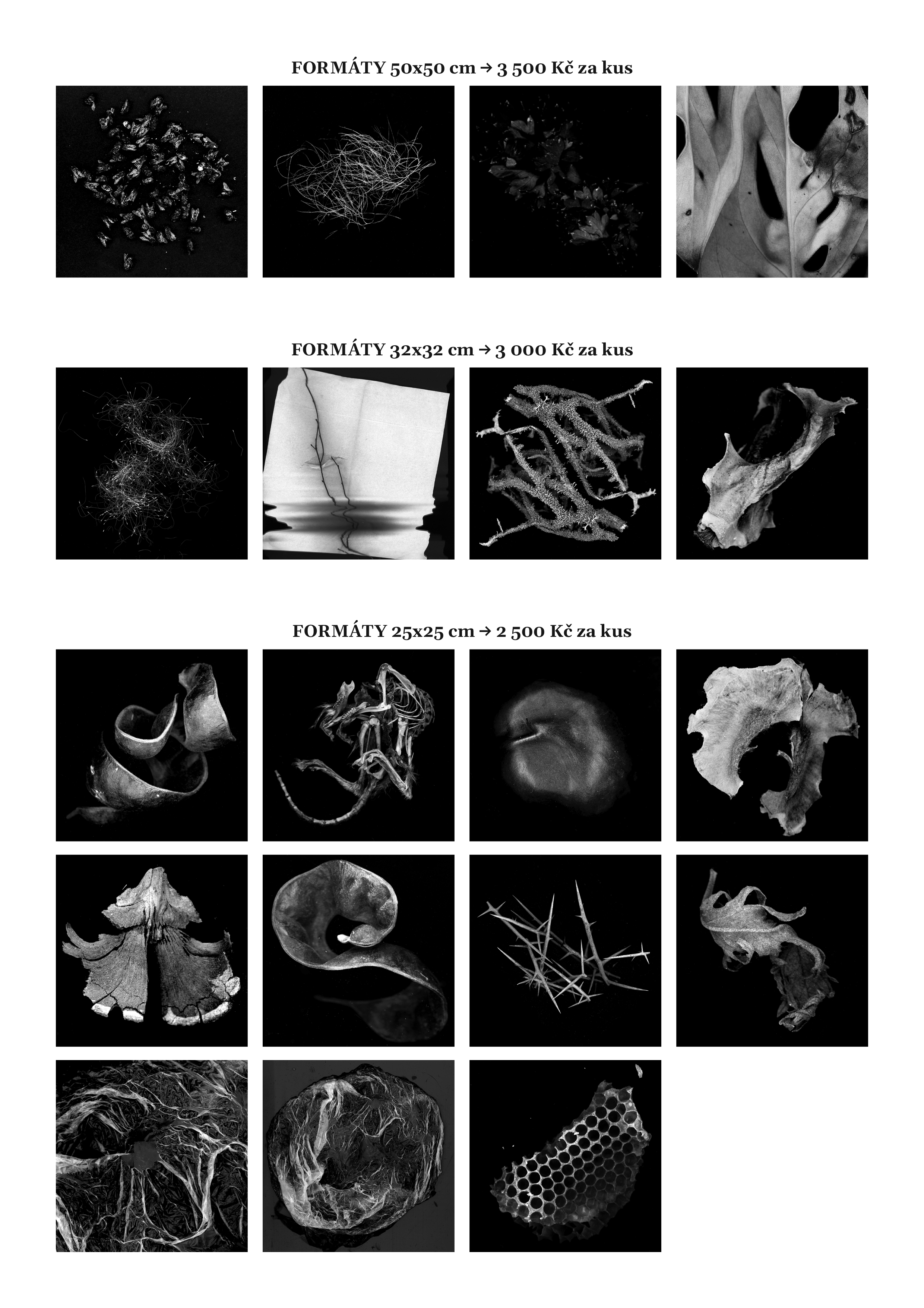 KATALOG_MARIE_ZRNO-2