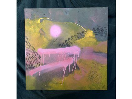 Marie Fišerová – Pinks yellow I