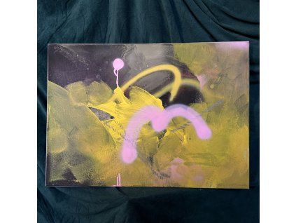 Marie Fišerová – Pinks yellow II