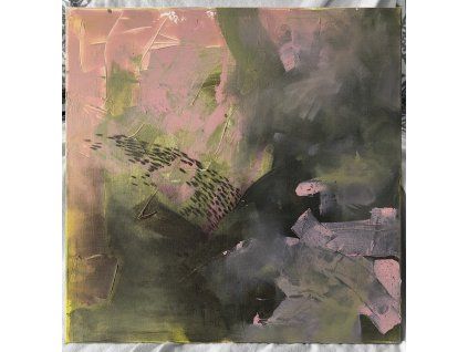 Marie Fišerová – Pink 667