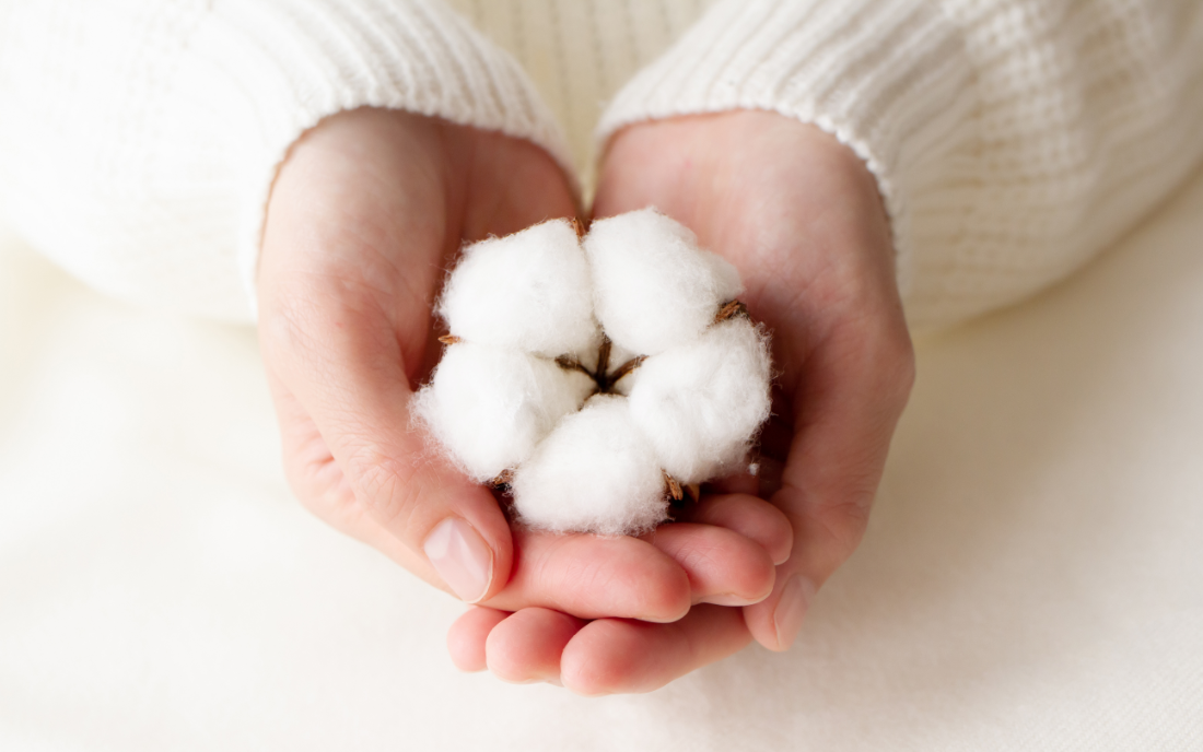 Má to cenu, když to má takovou cenu?