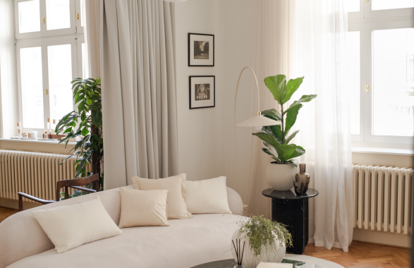 Dejte rostlinám v bytě zelenou!