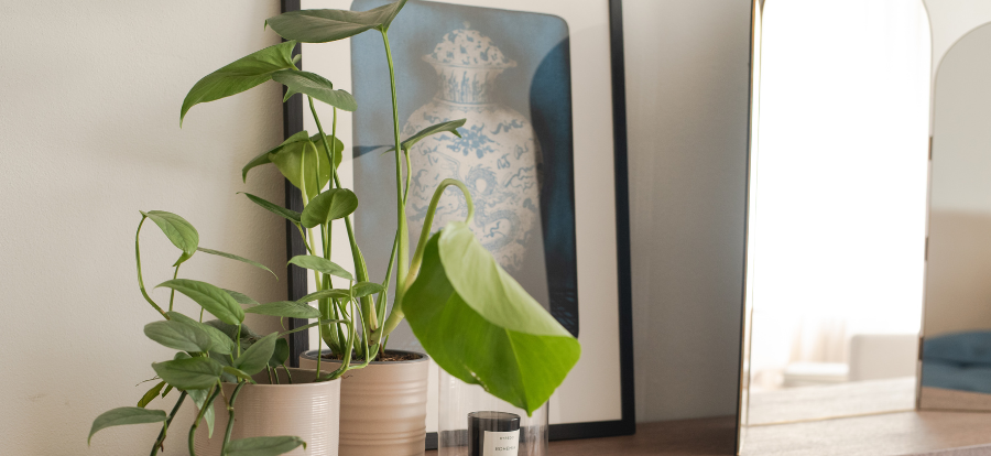clanek_gardners_loznice