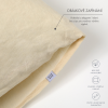 GRAFIKY ESHOP (65)