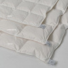 Feather quilt made of 100% down
