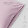 GRAFIKY ESHOP 2026 06 15T171120.905