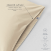 GRAFIKY ESHOP 2026 06 15T145034.905