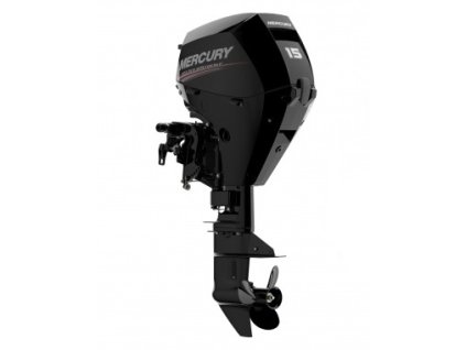 4446 1 lodni motor mercury f15 elpt efi