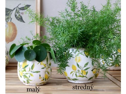 Kvetináč citróny malý