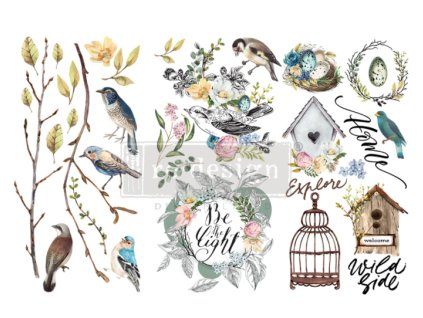 Transfer Garden Marvels