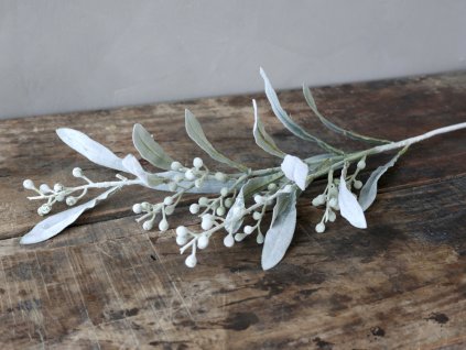 Vetvička Fleur lamb´s