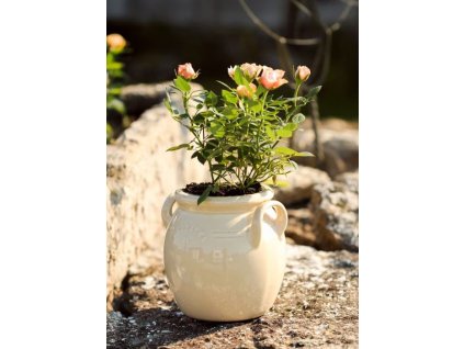 krcah brobacka 2l cream3