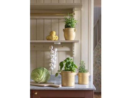 krcah brobacka 1l zlty 2