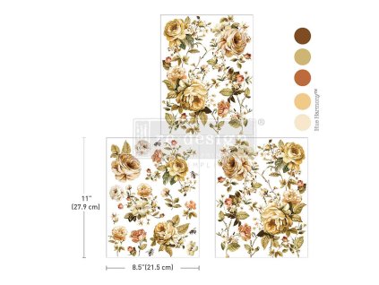 transfer belle epoque