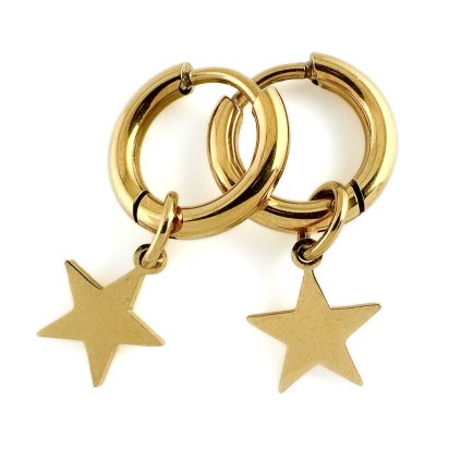 Kruhové náušnice z chirurgické oceli Star