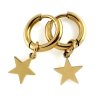 Kruhové náušnice z chirurgické oceli Star