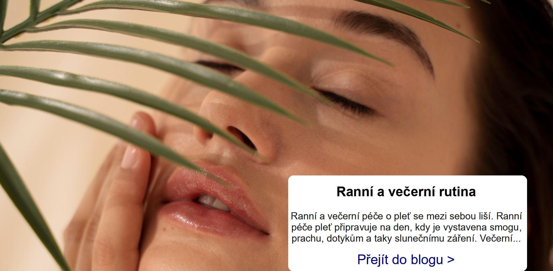 Doplňkový banner s odkazem na blog 02