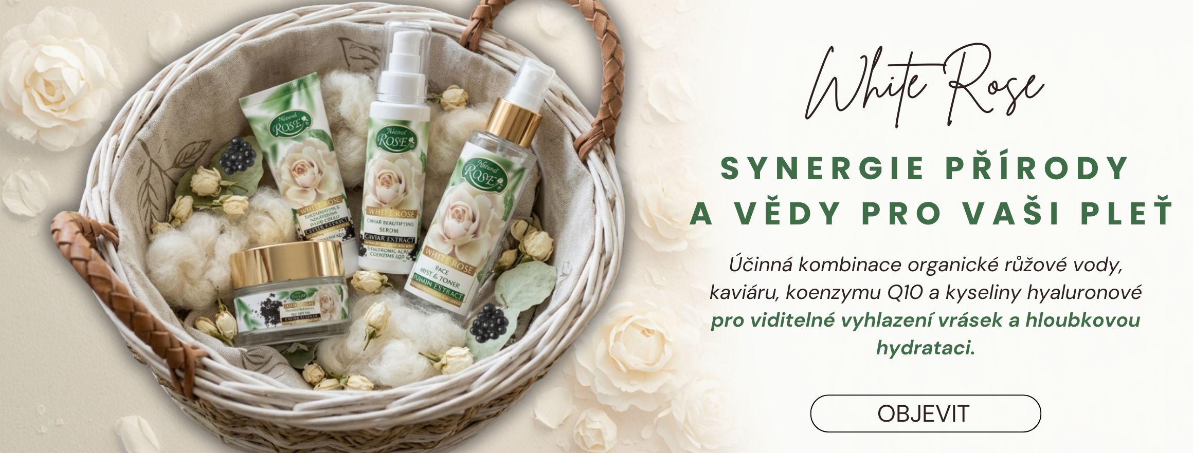 Synergie přírody a vědy - white rose - desktop
