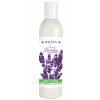 Provence Lavender tělové mléko, 250 ml