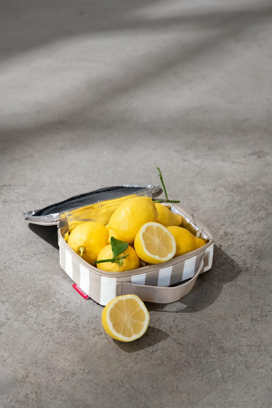 OY6056_thermocase_summerstripes-coffee_reisenthel_PE_01