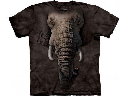 Sloní tvář - 2017