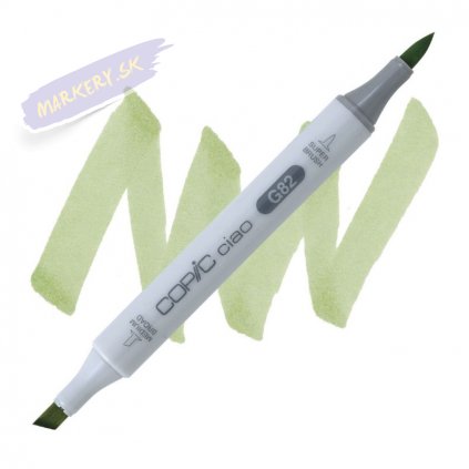 3753 2 g82 spring dim green copic ciao