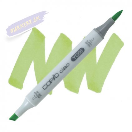 3954 2 yg06 yellowish green copic ciao