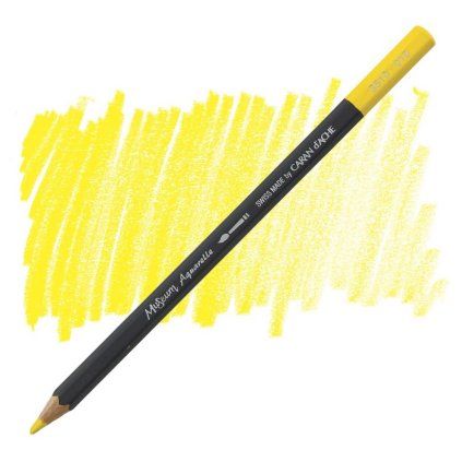 22451 Yellow 4011 l