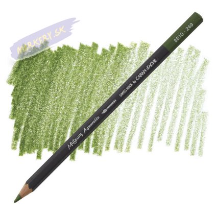 22451 Olive 7941 l