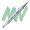 3729 2 g02 spectrum green copic ciao