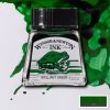 52846 2 kreslici inkoust winsor newton drawing ink 14ml brilliant green