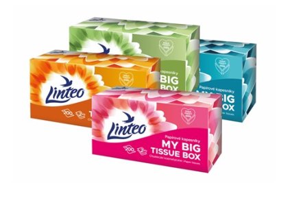 Snímek obrazovky 2025 06 05 085955