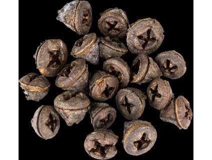 Dekorace - Eucalyptus Pod - 20 ks