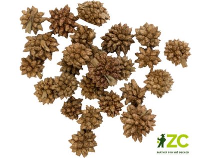 Dekorace - Star Flower - 12 g