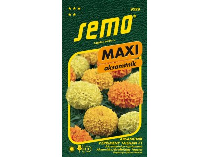 Aksamitník vzpřímený - Taishan F1 15s - série MAXI
