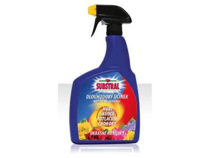 Snímek obrazovky 2025 01 08 135311