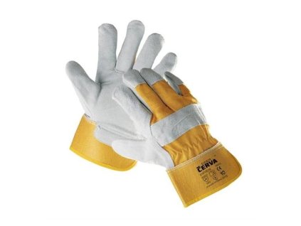 Snímek obrazovky 2025 03 13 132420