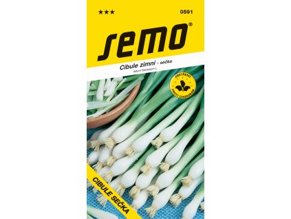 Cibule sečka - Gerda zimní, celoročně pro nať 2g