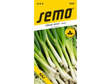 Cibule sečka - Kaj zimní, celoročně pro nať 1,8g