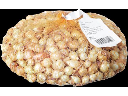 Sazečka - Štutgart 250g