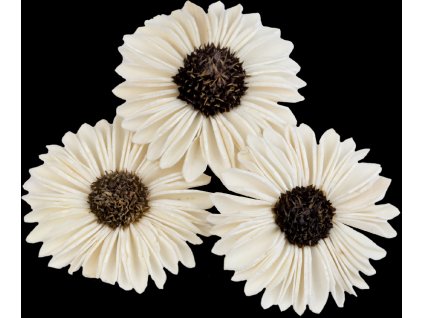 Dekorace - Sola Splite Sunflower 6 cm - 3 ks