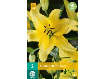 c81d267c b377 4d55 8ecc 0d7b78fe6930