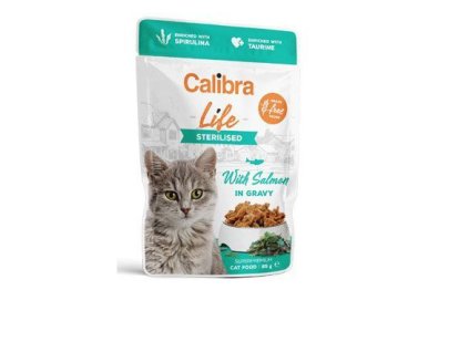 Snímek obrazovky 2023 05 24 111339