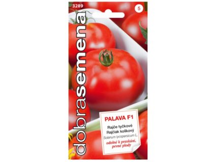 Snímek obrazovky 2024 05 24 113213