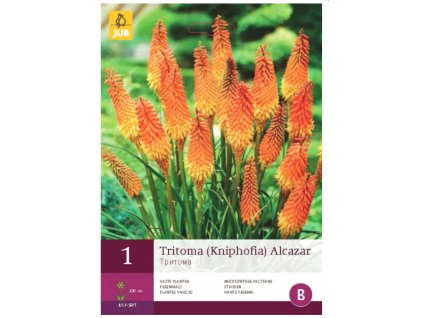 Snímek obrazovky 2024 01 31 100011